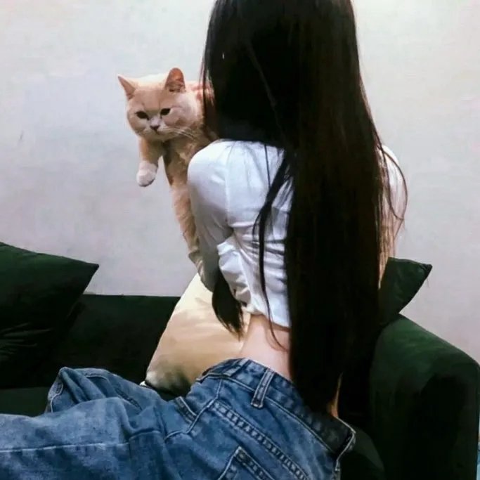 布莱泽奥特曼先行特别篇
